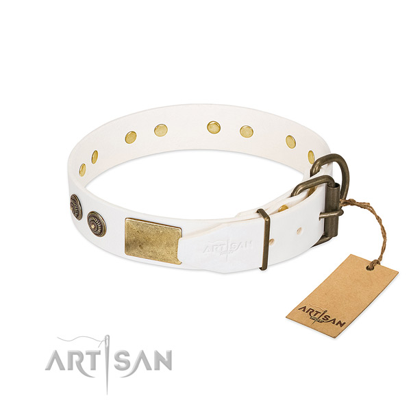 Corrosion proof D-ring on full grain leather collar for fancy walking your doggie