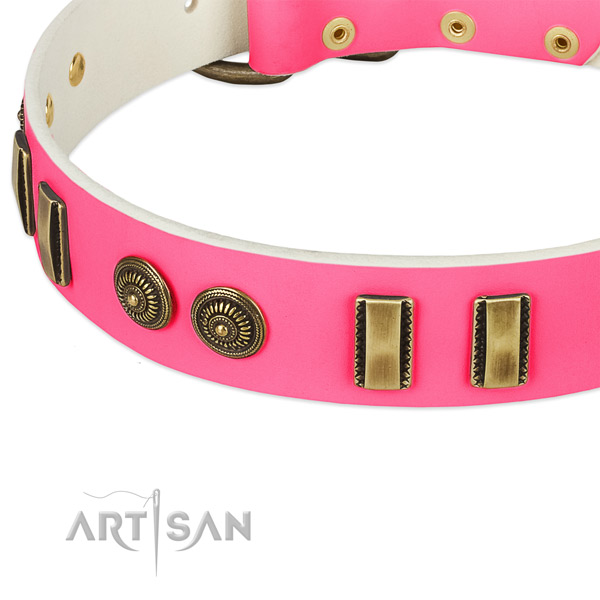 Strong buckle on leather dog collar for your pet