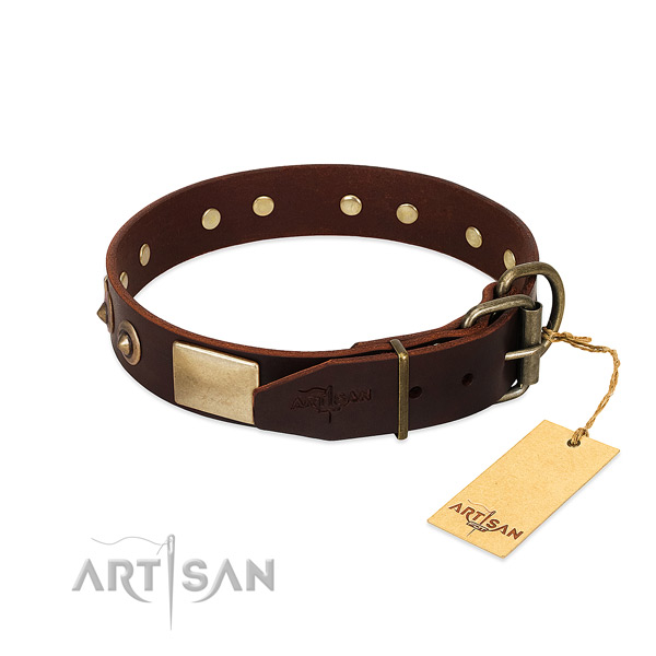 Durable fittings on daily walking dog collar