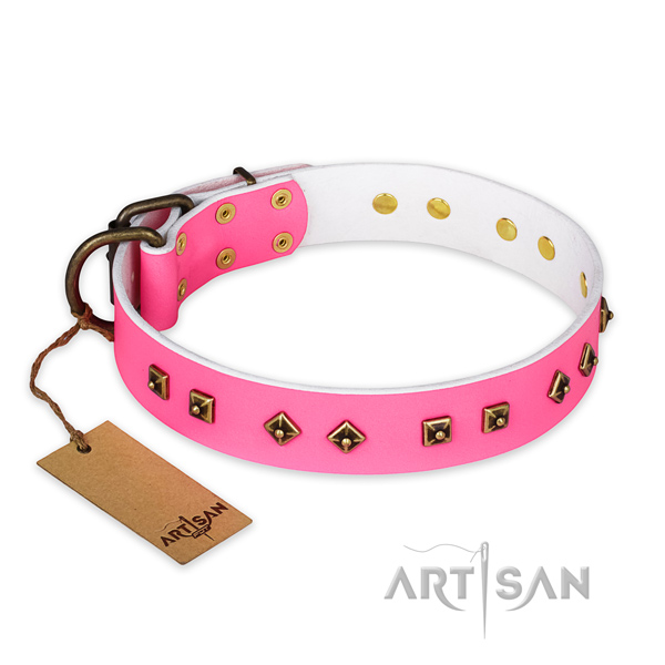 Top notch full grain leather dog collar with corrosion resistant buckle