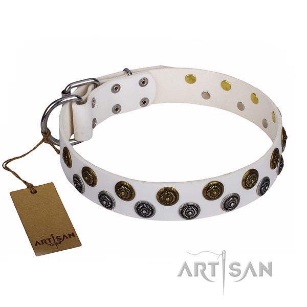 Basic training dog collar of durable full grain natural leather with embellishments