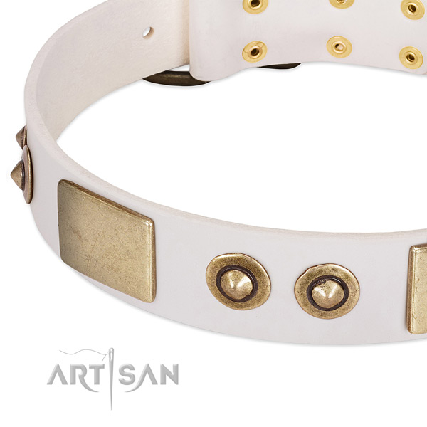 Rust-proof hardware on full grain natural leather dog collar for your doggie