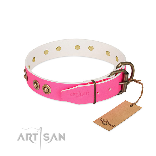 Natural genuine leather dog collar with rust resistant D-ring and studs