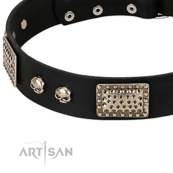 Durable traditional buckle on full grain natural leather dog collar for your pet