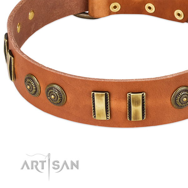 Rust-proof embellishments on full grain leather dog collar for your dog
