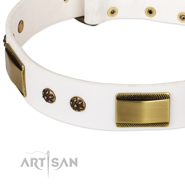 Reliable adornments on full grain genuine leather dog collar for your dog