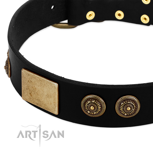 Corrosion resistant D-ring on genuine leather dog collar for your dog