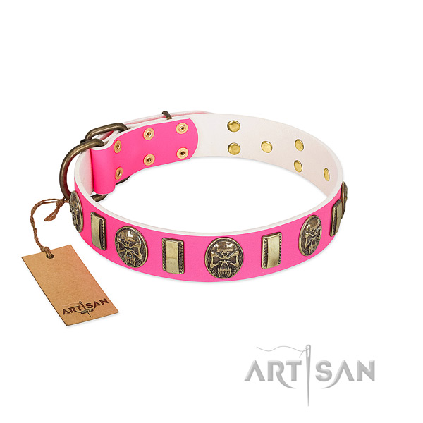 Durable decorations on full grain natural leather dog collar for your four-legged friend