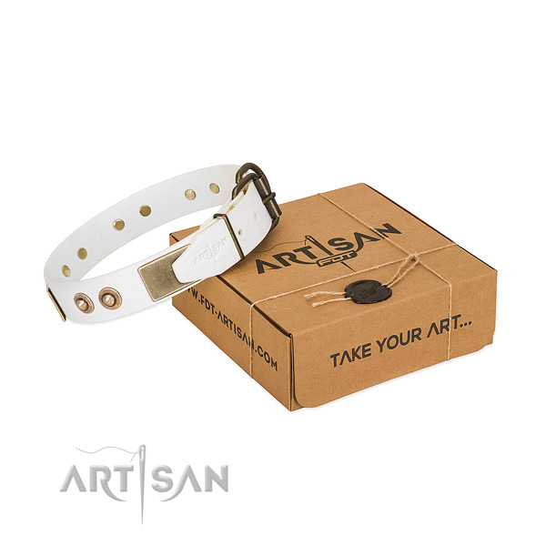 Rust resistant adornments on natural genuine leather dog collar for your dog