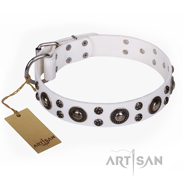 Fancy walking dog collar of durable full grain natural leather with decorations
