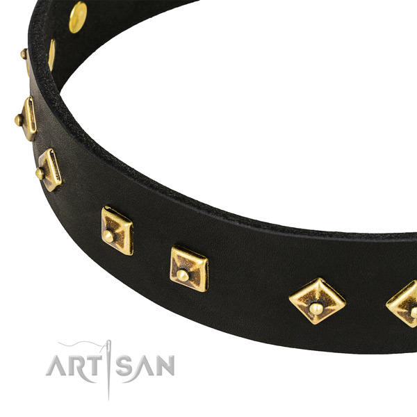 Significant full grain natural leather collar for your beautiful pet
