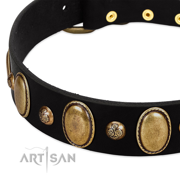 Natural leather dog collar with amazing decorations