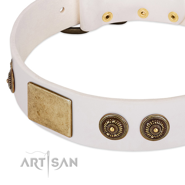 Awesome dog collar handcrafted for your impressive doggie