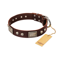 "Pirate Skull" FDT Artisan Brown Leather Golden Retriever Collar with Old Silver Look Plates and Skulls