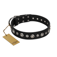 "Genteel Charm" FDT Artisan Black Leather Golden Retriever Collar with Silver-like Round Conchos