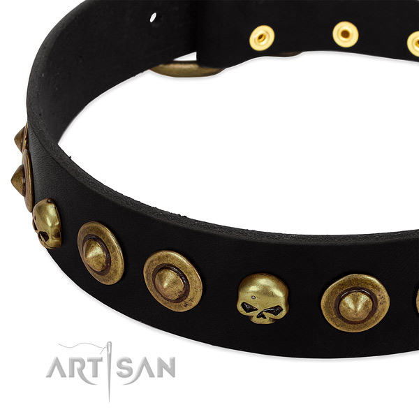 Designer decorations on full grain natural leather collar for your canine