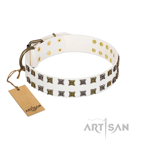 Leather collar with awesome studs for your dog