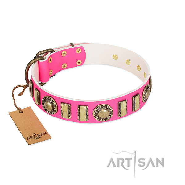 Extraordinary natural leather dog collar with rust resistant traditional buckle