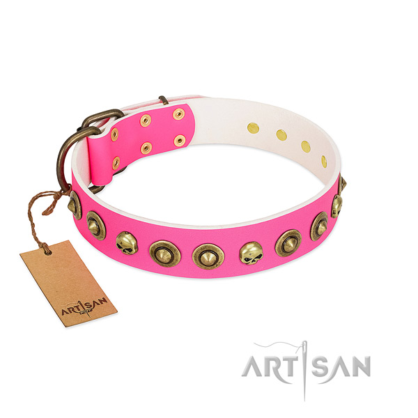 Significant full grain genuine leather dog collar with durable studs