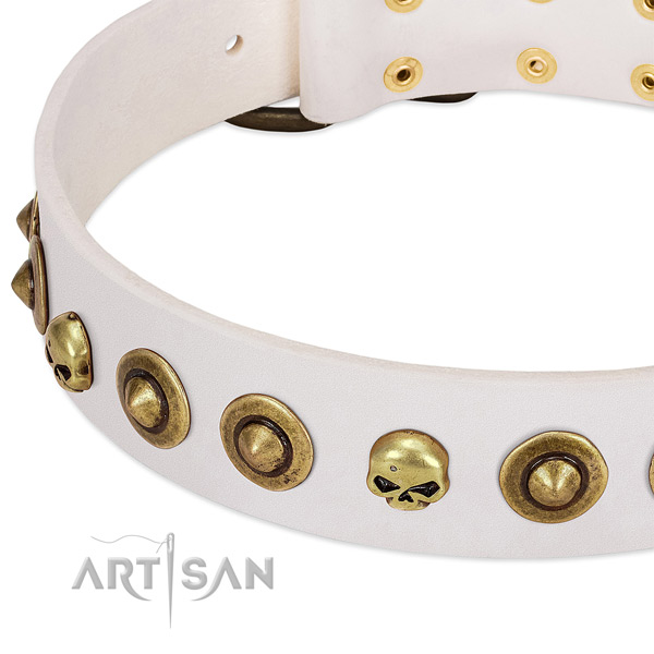 Fashionable decorations on natural leather collar for your canine