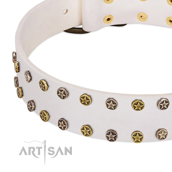 Trendy embellishments on full grain genuine leather collar for your pet