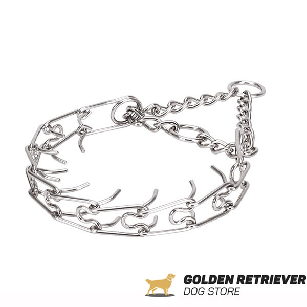 Strong pinch collar with stainless steel O-ring for leash attachment