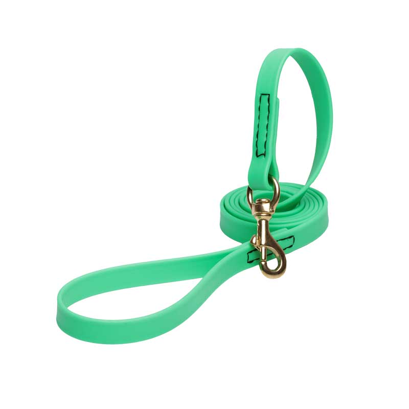 Green Waterproof Golden Retriever Leash Made of Biothane