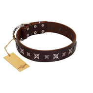 "Stellar Fairy " FDT Artisan Brown Leather Golden Retriever Collar with Chrome-plated Star-like Decorations