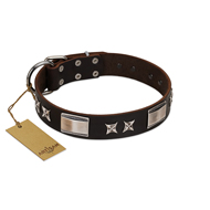 "Satin Beauts" FDT Artisan Brown Leather Golden Retriever Collar with Stars and Plates