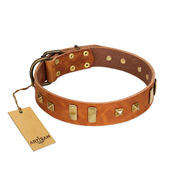 "Sand of Time" FDT Artisan Tan Leather Golden Retriever Collar with Old Bronze-like Studs and Plates