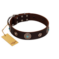 "Magic Stones" FDT Artisan Brown Leather Golden Retriever Collar with Chrome Plated Brooches and Studs