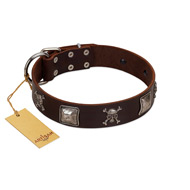 "Nut-Brown Finery" Embellished FDT Artisan Brown Leather Golden Retriever Collar with Chrome Plated Crossbones and Plates