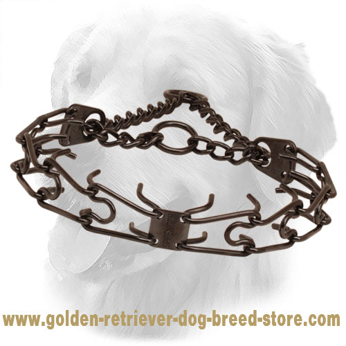 Black Dog Prong Collar Made of Stainless Steel