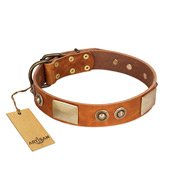 "Perfect Blend" FDT Artisan Tan Leather Golden Retriever Collar 1 1/2 inch (40 mm) wide