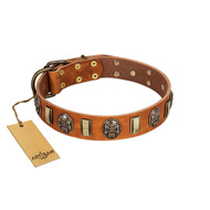 "Strike of Rock" FDT Artisan Tan Leather Golden Retriever Collar with Plates and Medallions with Skulls