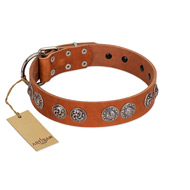 "Woofy Majesty" FDT Artisan Tan Leather Golden Retriever Collar with Round Silver-like Plates