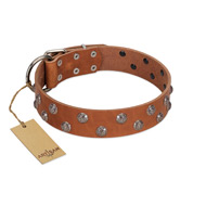 "Waltz of the Flowers" Handmade FDT Artisan Tan Leather Golden Retriever Collar with Chrome-plated Engraved Studs
