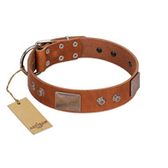 "Great Obelisk" Handcrafted FDT Artisan Tan Leather Golden Retriever Collar with Large Plates and Pyramids