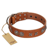 "Splendid Armor" Premium Quality FDT Artisan Tan Designer Golden Retriever Collar with Shields and Stars