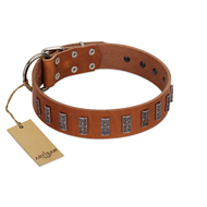 "Silver Century" Fashionable FDT Artisan Tan Leather Golden Retriever Collar with Silver-Like Plates