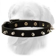 Beautiful Leather Collar With Shiny Spikes
