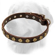 Golden Retriever Leather Collar Brass Dotted Circles