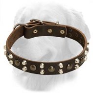 Golden Retriever Leather Collar Studs Pyramids