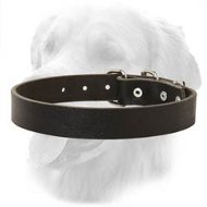 Simple Leather Collar for Walking And Training 30 mm