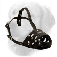Everyday Golden Retriever Secure Leather Muzzle  Everyday Golden Retriever Secure Leather Muzzle