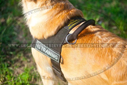 Convenient Handle on Nylon Dog Harness