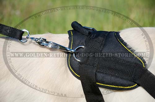 Strong D-Ring on Golden Retriever Harness