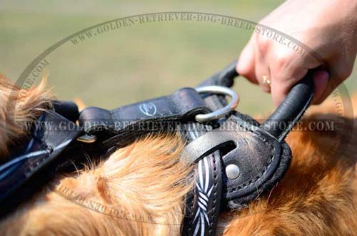 Comfortable Handle on Leather Dog Harness