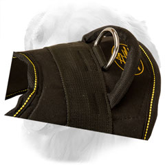 Special Handle on Golden Retriever Harness for Better Control