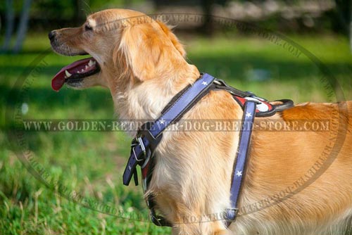 Comfortable Leather Harness with American Flag